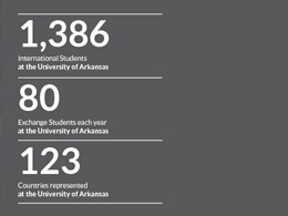 University of Arkansas Study Abroad